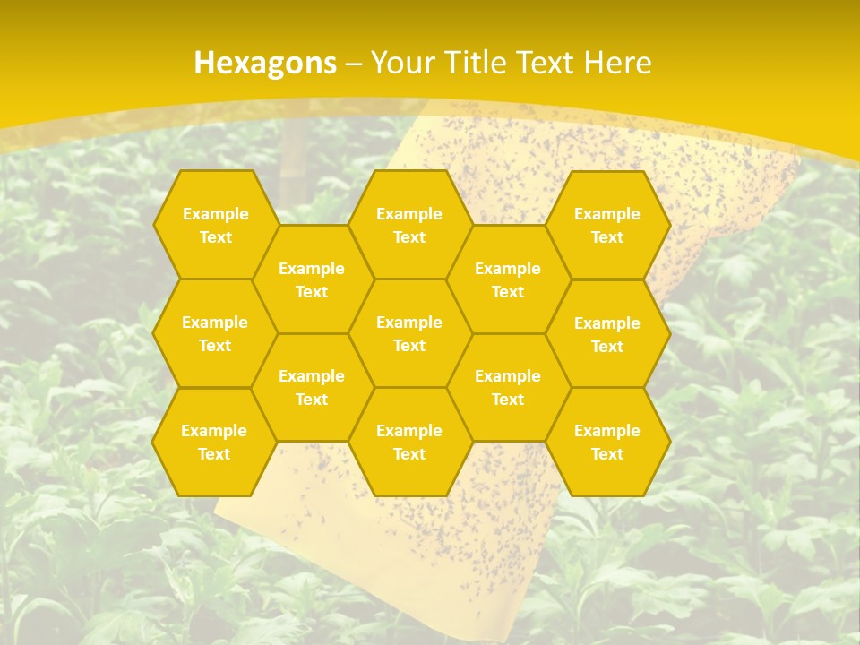 Enigma Mystery Inconsistency PowerPoint Template