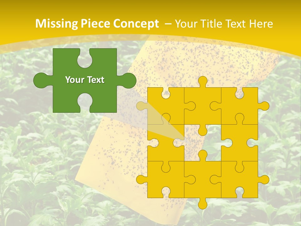 Enigma Mystery Inconsistency PowerPoint Template