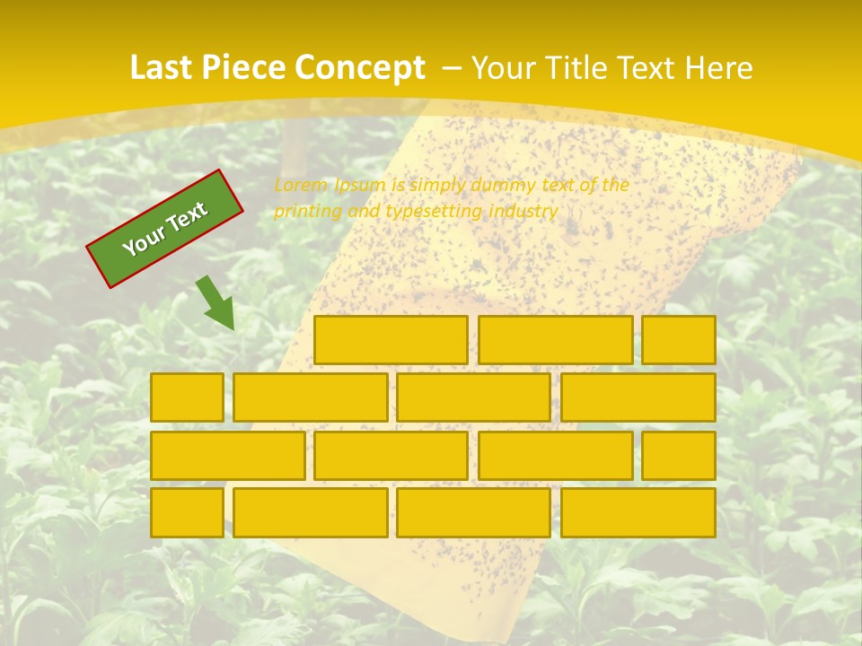 Enigma Mystery Inconsistency PowerPoint Template