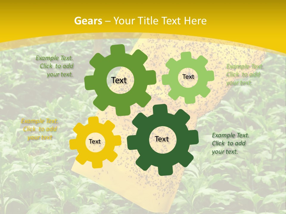 Enigma Mystery Inconsistency PowerPoint Template
