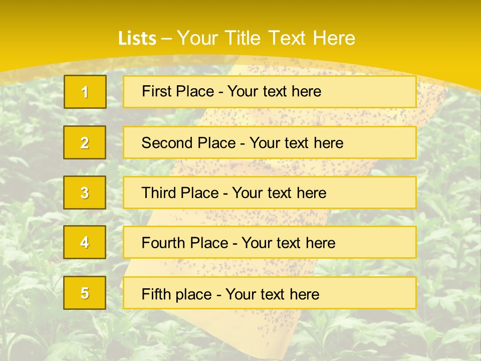 Enigma Mystery Inconsistency PowerPoint Template
