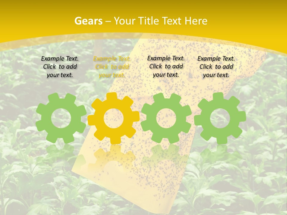 Enigma Mystery Inconsistency PowerPoint Template