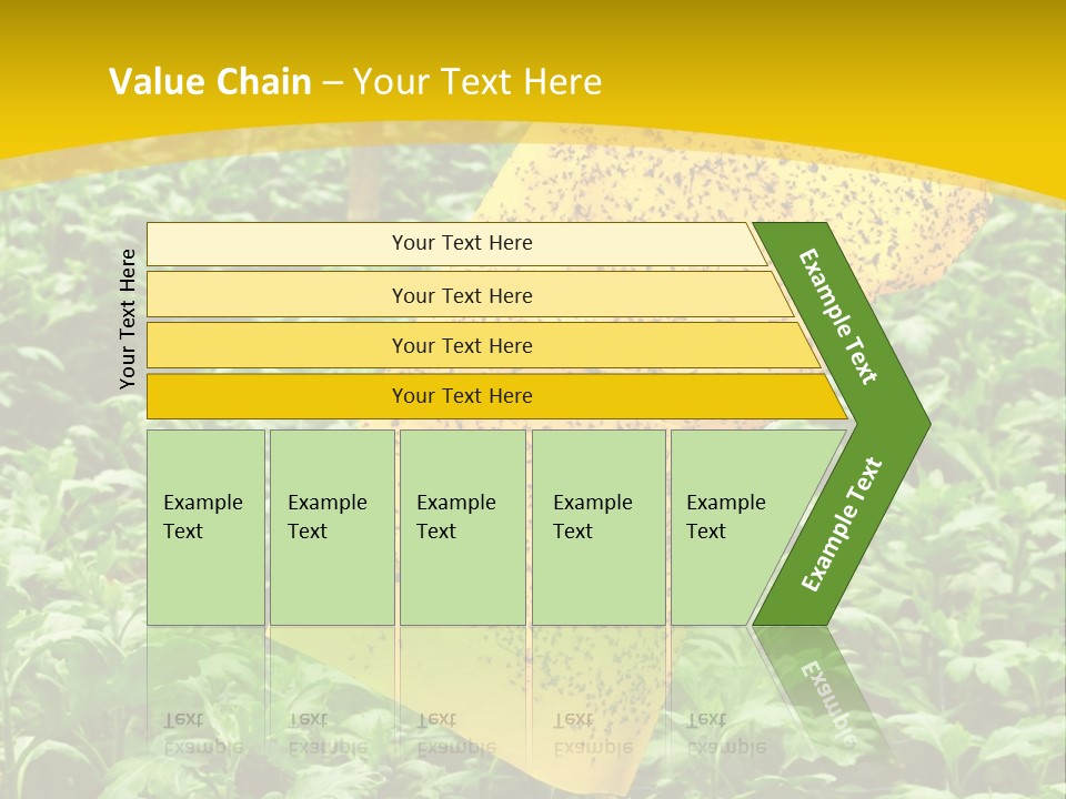 Enigma Mystery Inconsistency PowerPoint Template