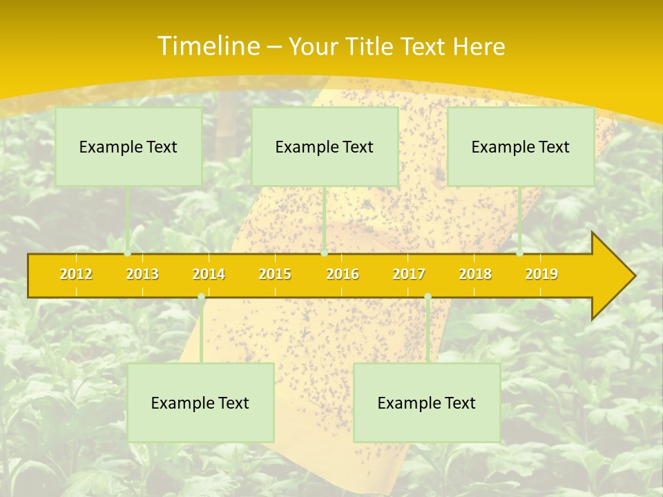 Enigma Mystery Inconsistency PowerPoint Template