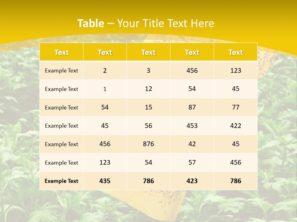 Enigma Mystery Inconsistency PowerPoint Template