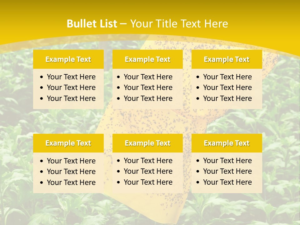 Enigma Mystery Inconsistency PowerPoint Template