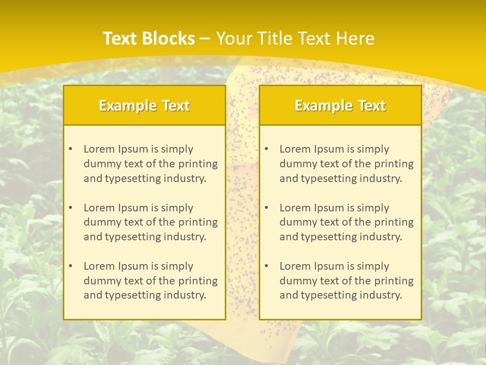 Enigma Mystery Inconsistency PowerPoint Template