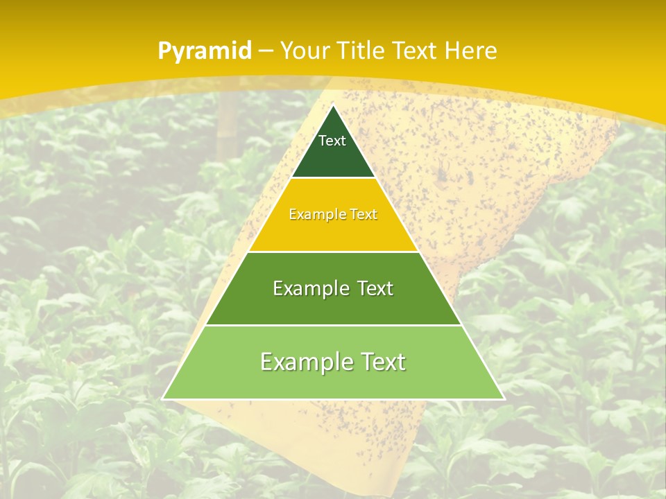 Enigma Mystery Inconsistency PowerPoint Template