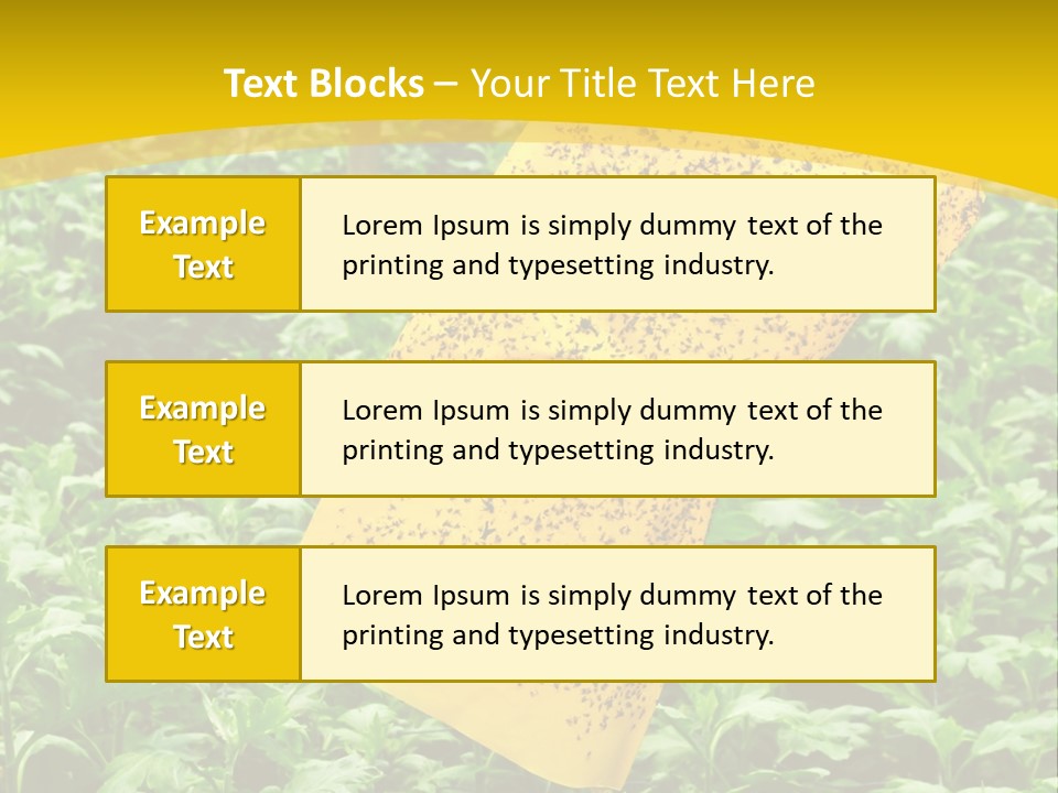 Enigma Mystery Inconsistency PowerPoint Template