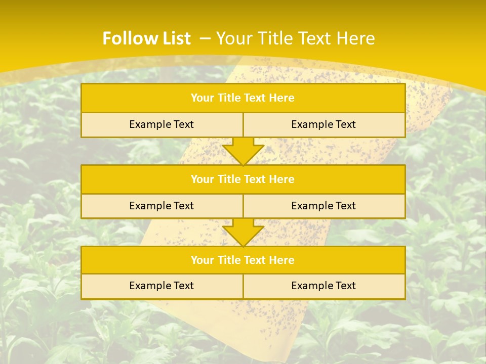 Enigma Mystery Inconsistency PowerPoint Template