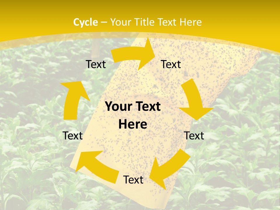 Enigma Mystery Inconsistency PowerPoint Template
