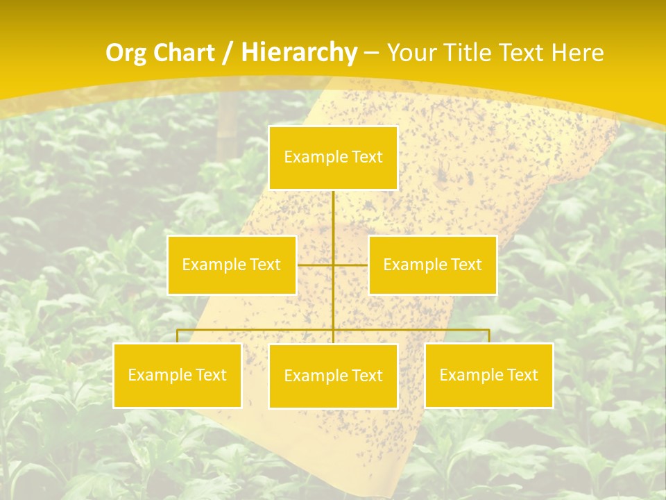 Enigma Mystery Inconsistency PowerPoint Template