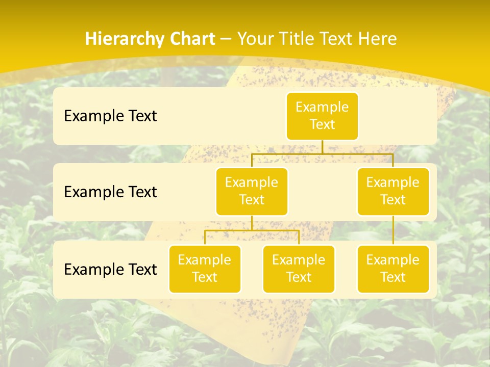 Enigma Mystery Inconsistency PowerPoint Template