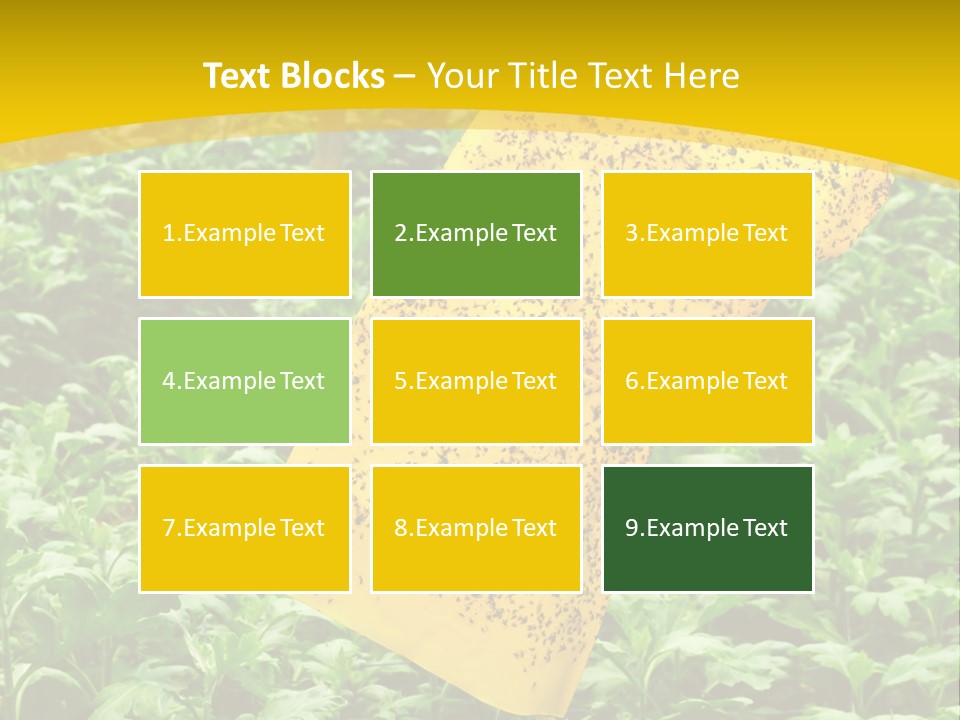 Enigma Mystery Inconsistency PowerPoint Template