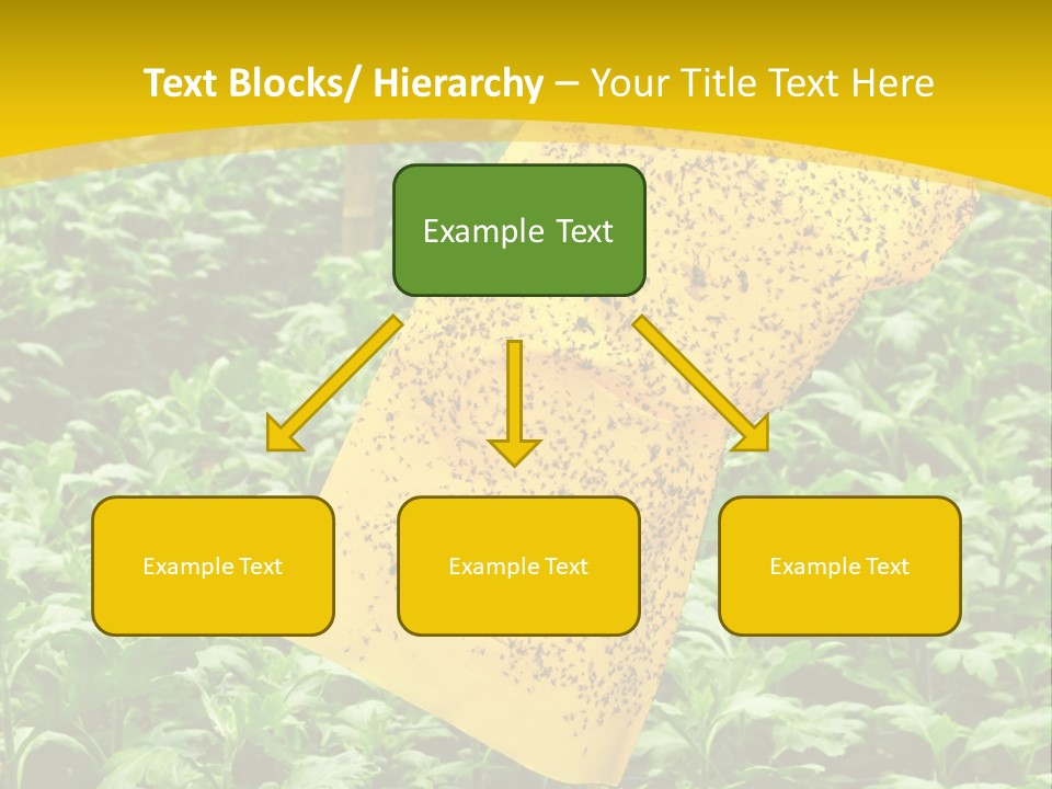 Enigma Mystery Inconsistency PowerPoint Template