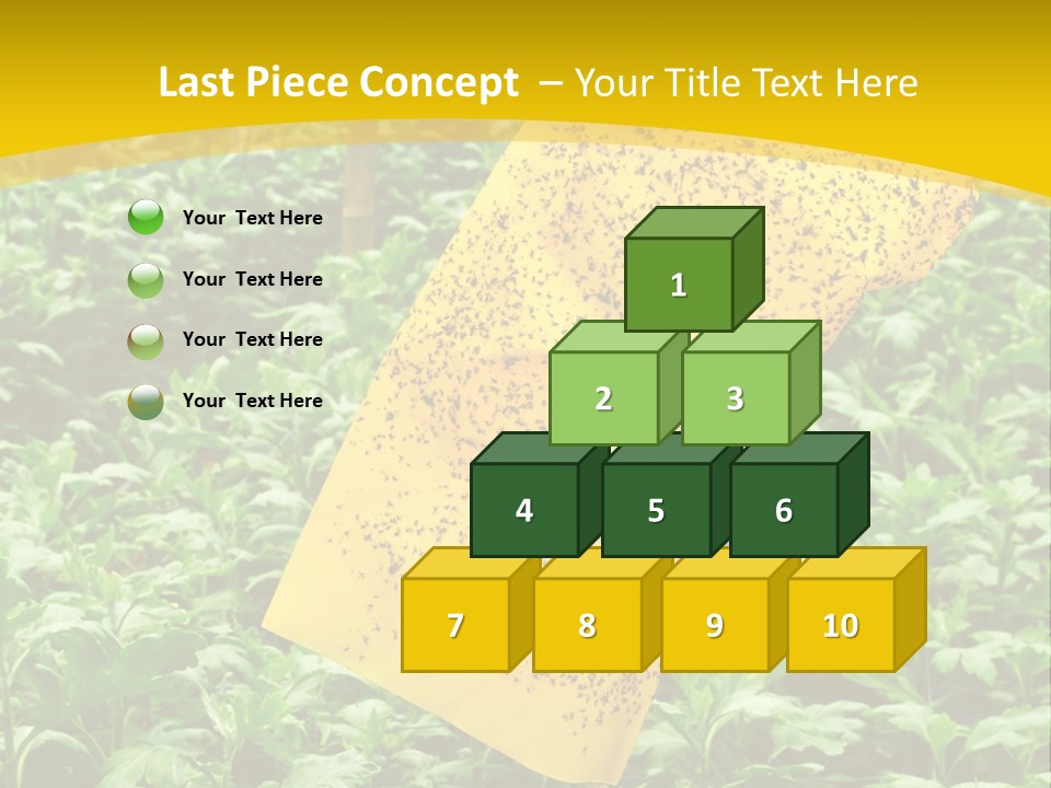 Enigma Mystery Inconsistency PowerPoint Template