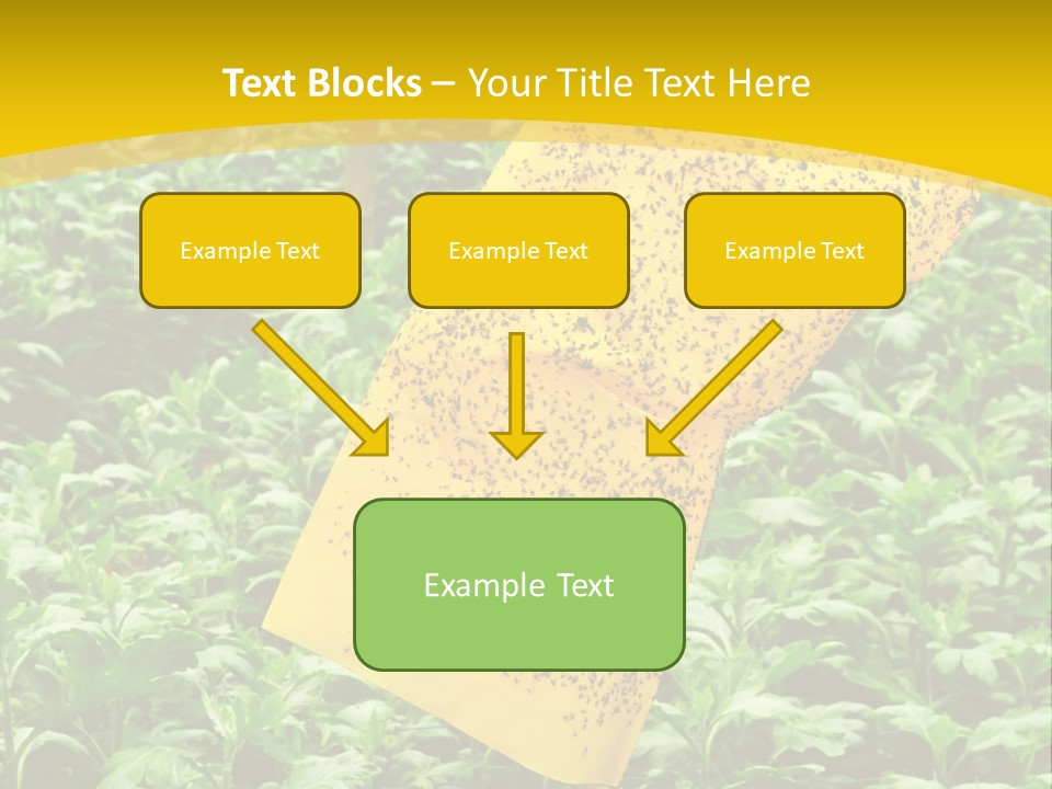 Enigma Mystery Inconsistency PowerPoint Template