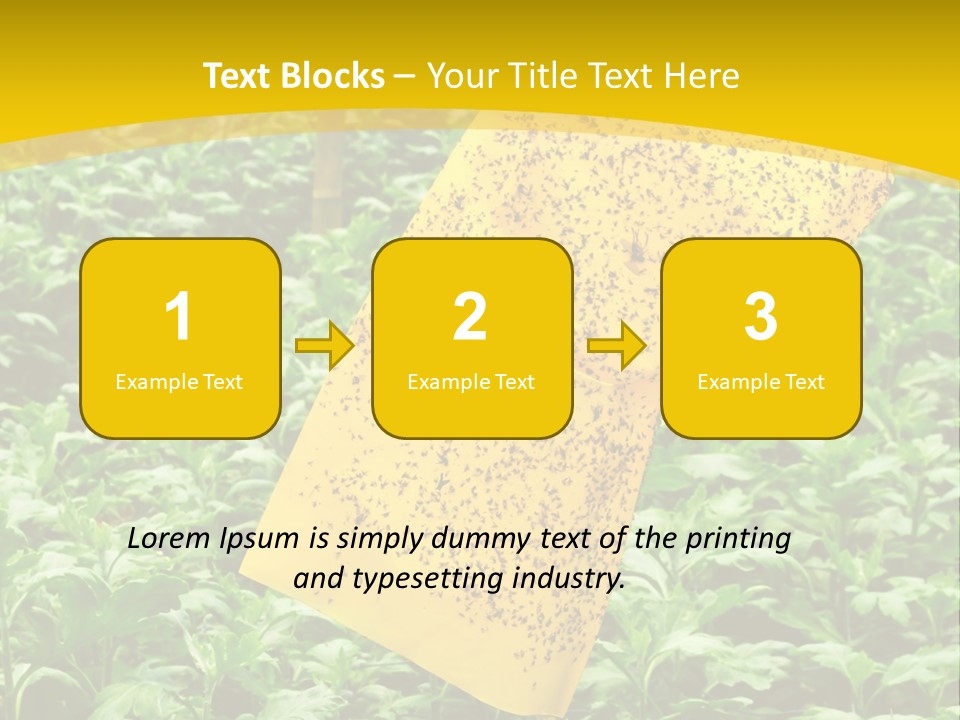 Enigma Mystery Inconsistency PowerPoint Template