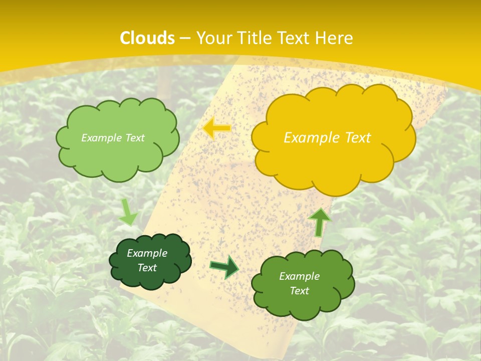 Enigma Mystery Inconsistency PowerPoint Template