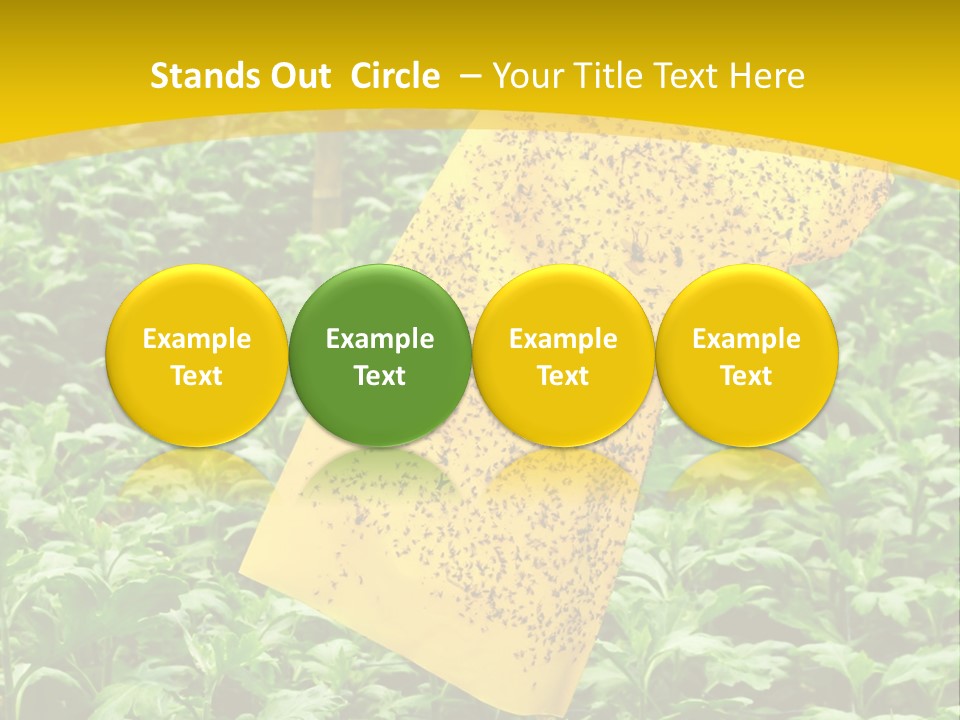 Enigma Mystery Inconsistency PowerPoint Template