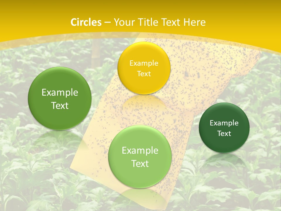 Enigma Mystery Inconsistency PowerPoint Template
