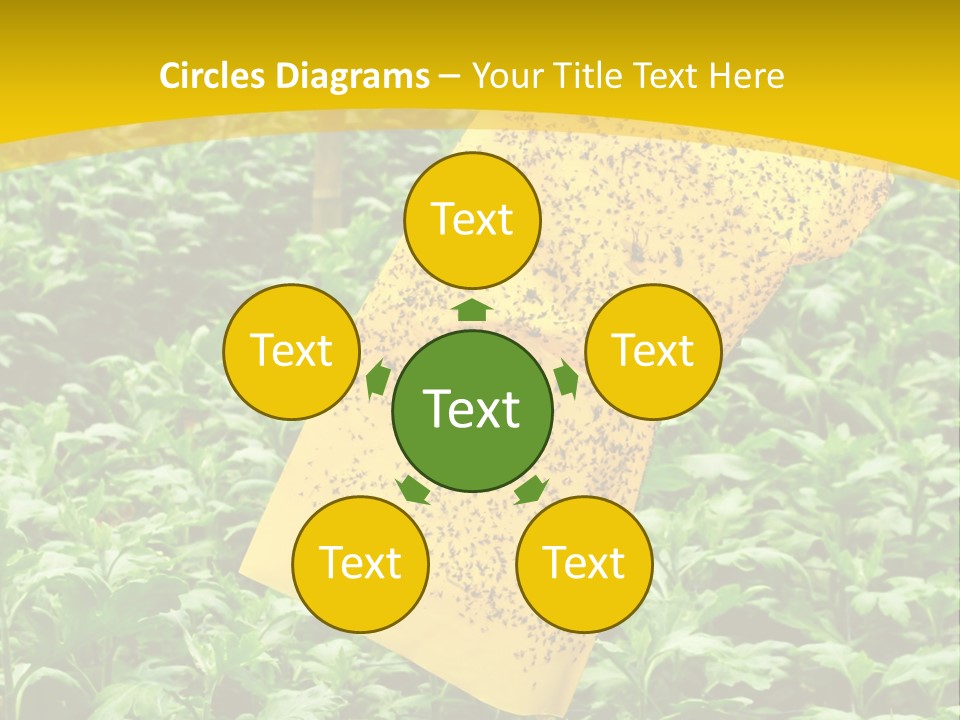 Enigma Mystery Inconsistency PowerPoint Template