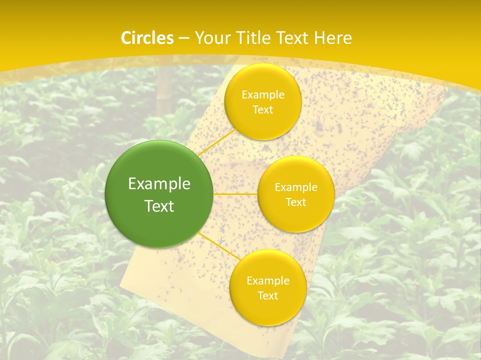 Enigma Mystery Inconsistency PowerPoint Template