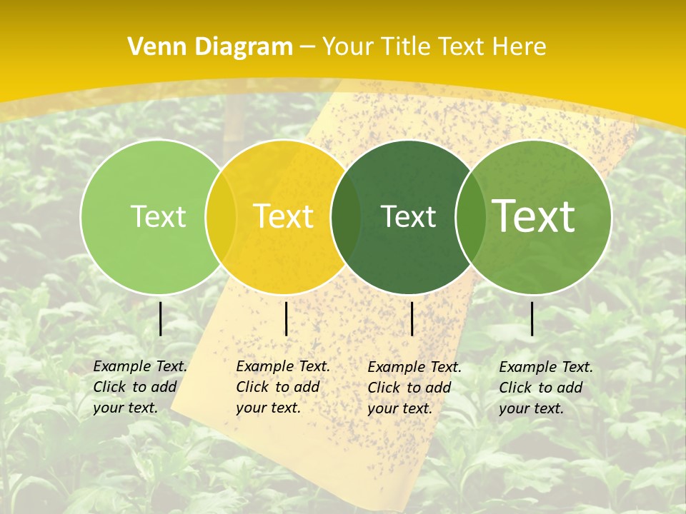Enigma Mystery Inconsistency PowerPoint Template