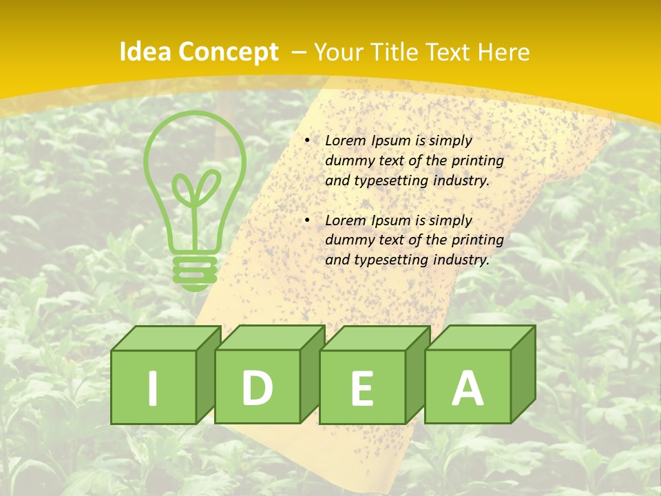 Enigma Mystery Inconsistency PowerPoint Template