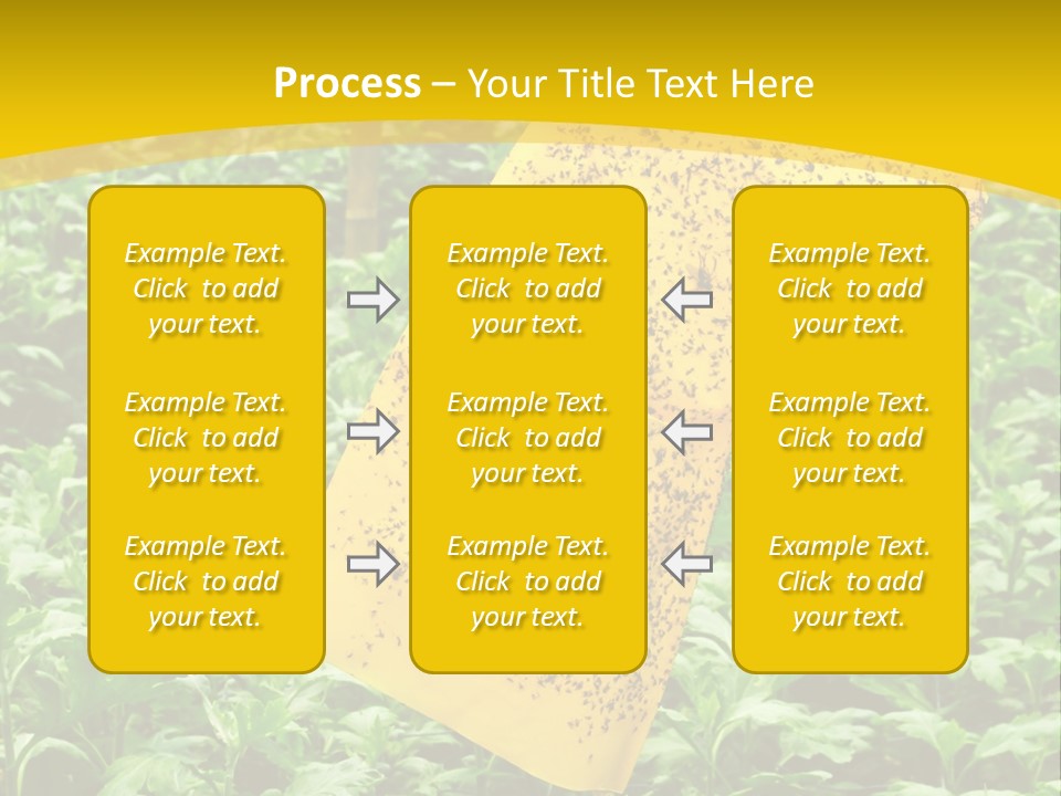 Enigma Mystery Inconsistency PowerPoint Template