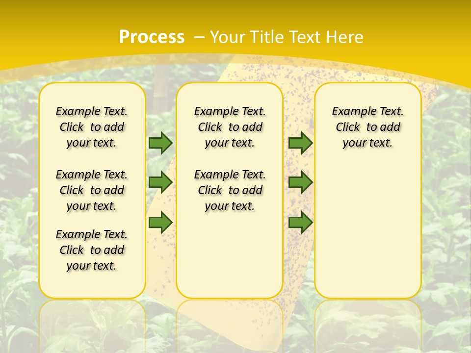 Enigma Mystery Inconsistency PowerPoint Template