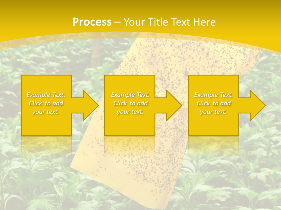 Enigma Mystery Inconsistency PowerPoint Template