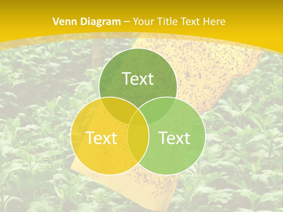 Enigma Mystery Inconsistency PowerPoint Template