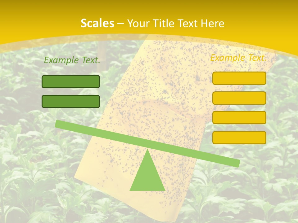 Enigma Mystery Inconsistency PowerPoint Template