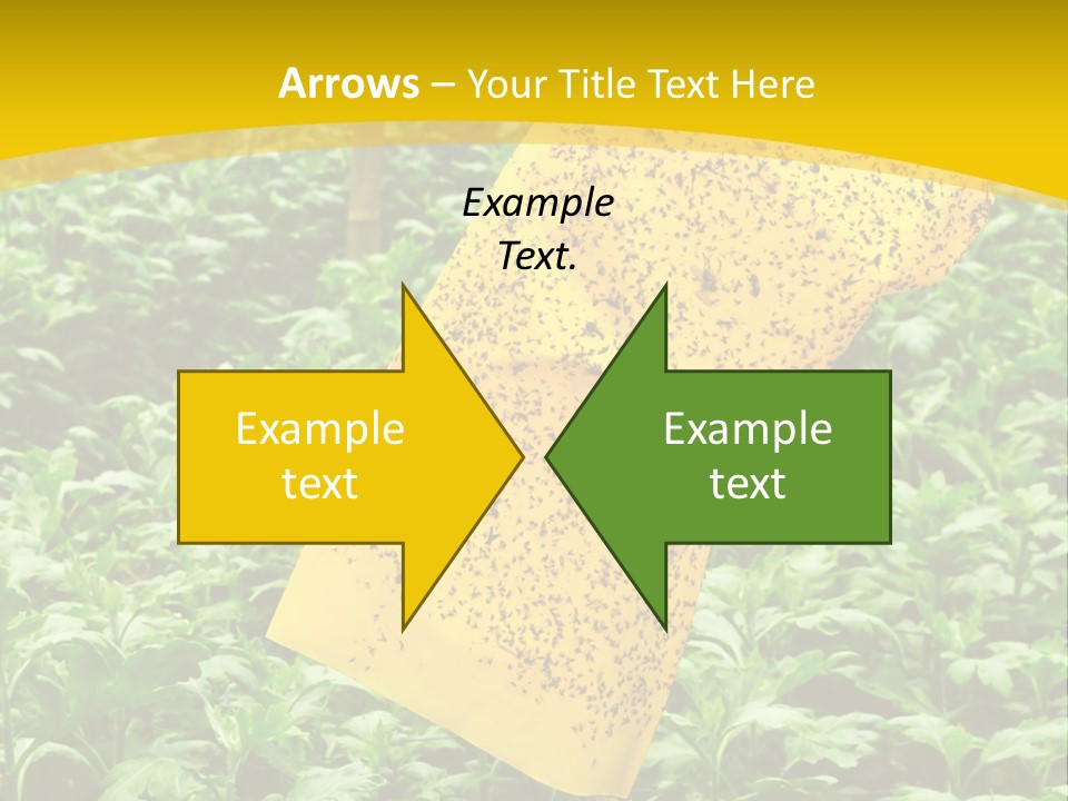 Enigma Mystery Inconsistency PowerPoint Template