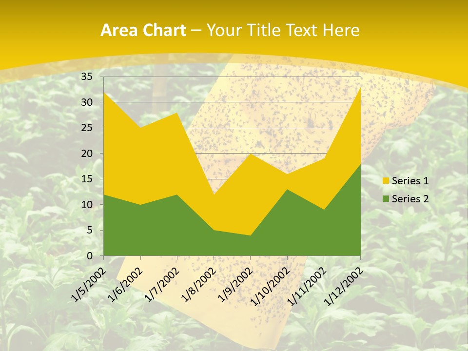 Enigma Mystery Inconsistency PowerPoint Template