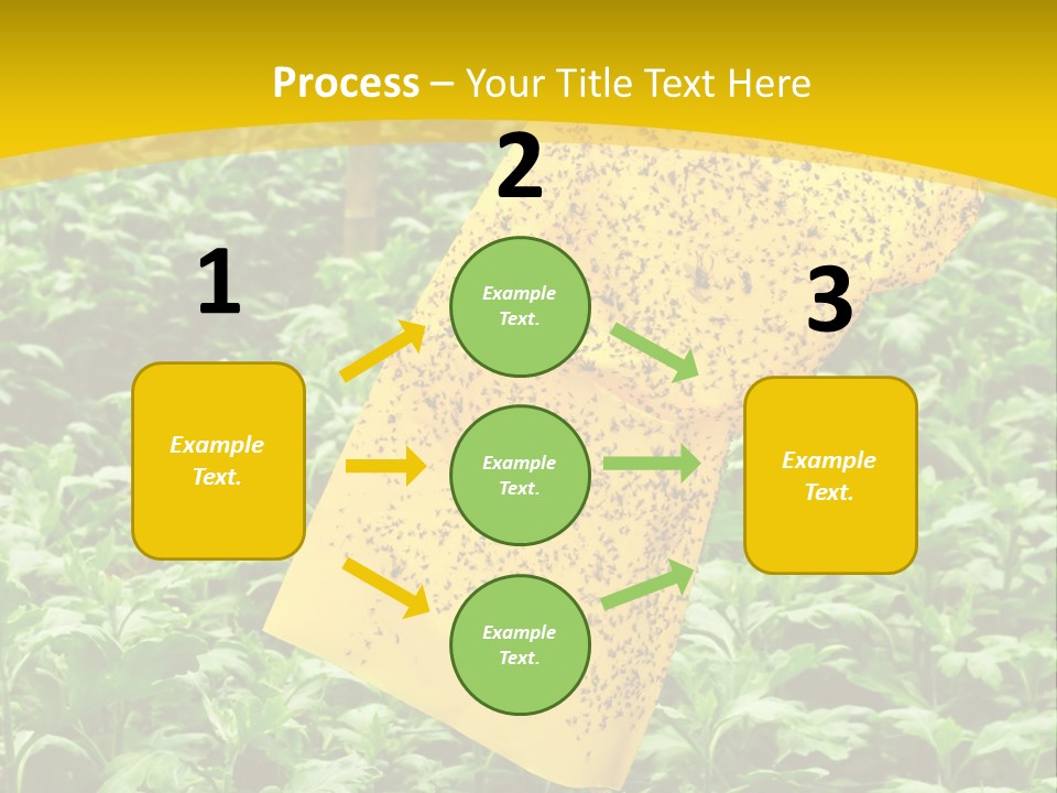 Enigma Mystery Inconsistency PowerPoint Template