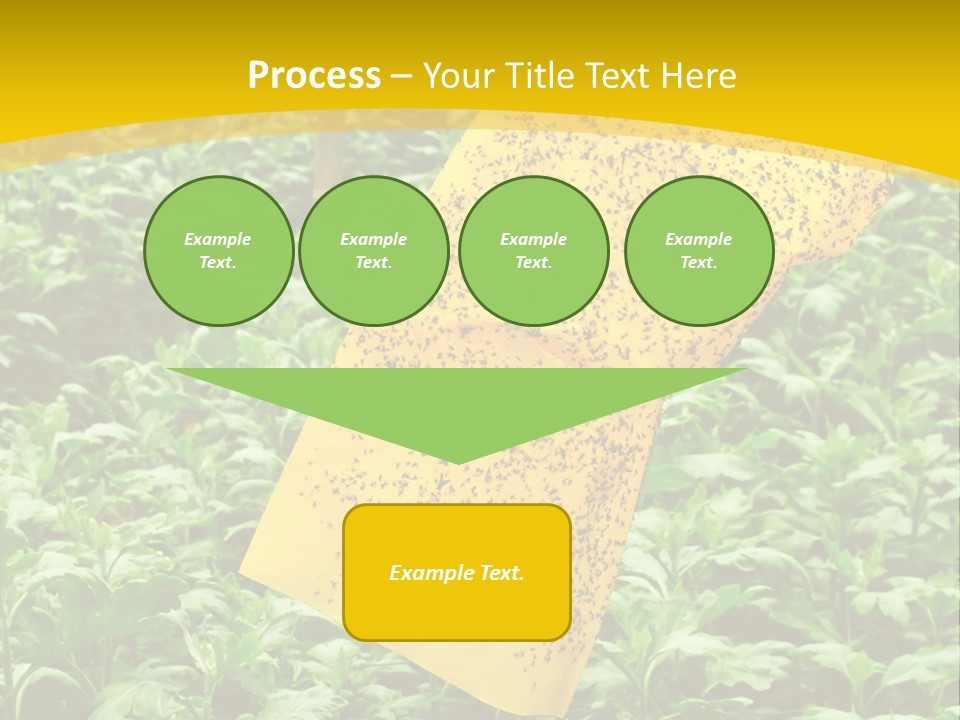 Enigma Mystery Inconsistency PowerPoint Template