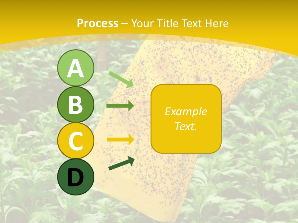Enigma Mystery Inconsistency PowerPoint Template