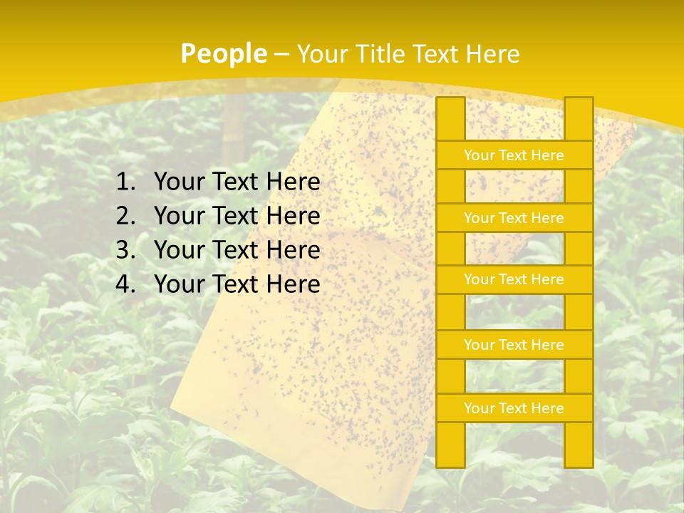Enigma Mystery Inconsistency PowerPoint Template