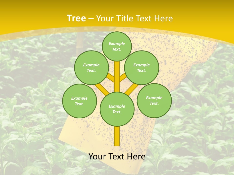 Enigma Mystery Inconsistency PowerPoint Template