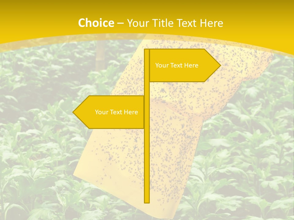 Enigma Mystery Inconsistency PowerPoint Template