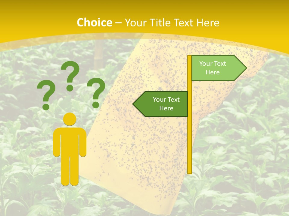 Enigma Mystery Inconsistency PowerPoint Template