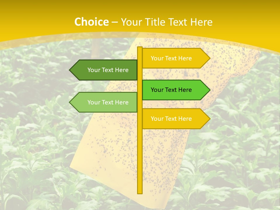 Enigma Mystery Inconsistency PowerPoint Template