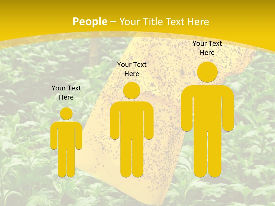 Enigma Mystery Inconsistency PowerPoint Template