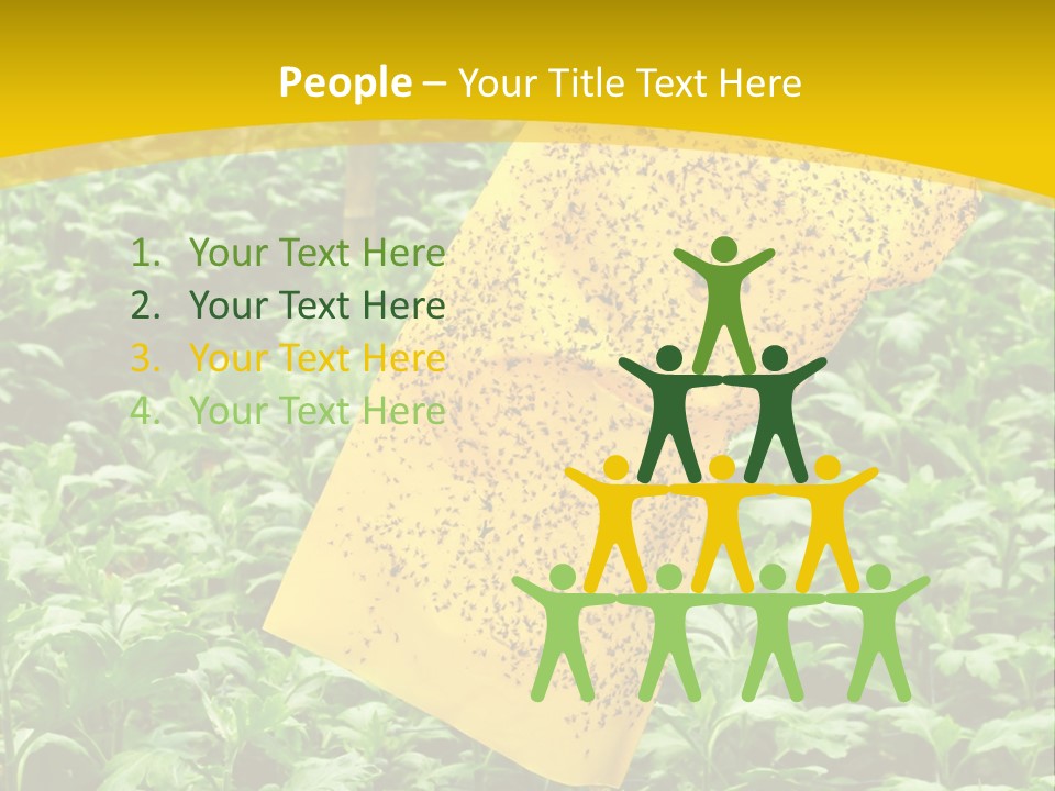 Enigma Mystery Inconsistency PowerPoint Template