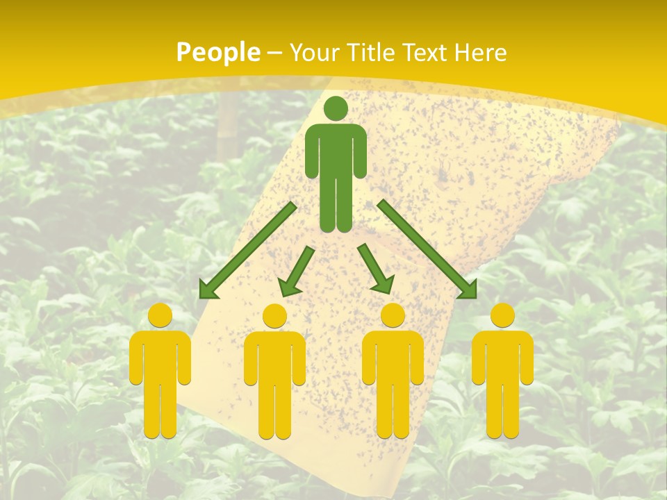 Enigma Mystery Inconsistency PowerPoint Template