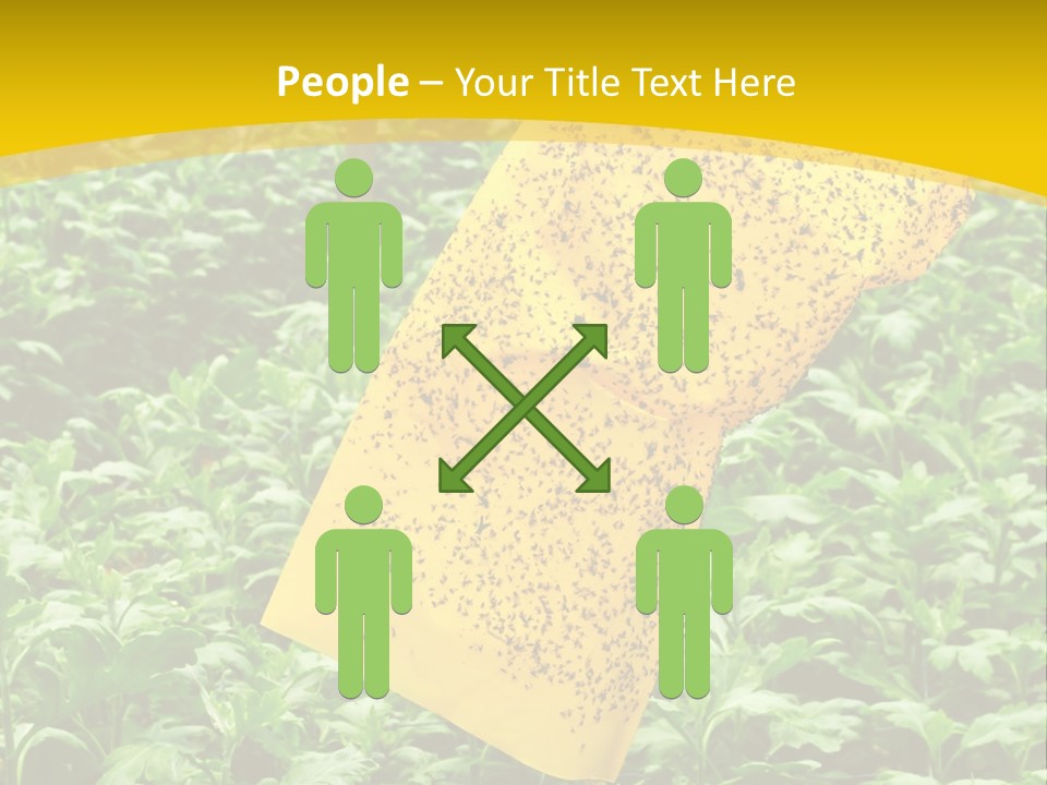 Enigma Mystery Inconsistency PowerPoint Template