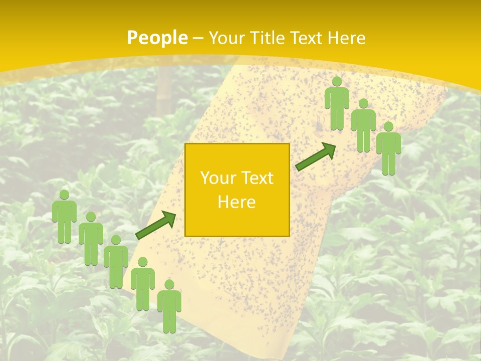 Enigma Mystery Inconsistency PowerPoint Template