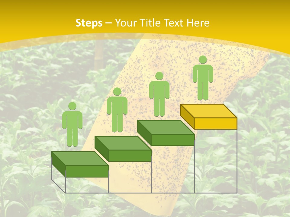 Enigma Mystery Inconsistency PowerPoint Template